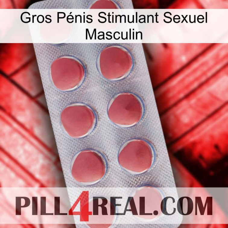 Gros Pénis Stimulant Sexuel Masculin 18